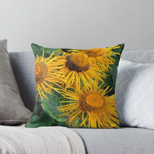 Item preview, A frame full of Inula Sunflowers designed and sold by Violaman.