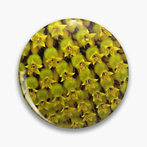 Artikelvorschau, Sonnenblume Nahaufnahme entworfen und verkauft von AmandaFaye99.