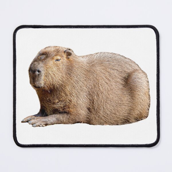 Item preview, Just Chilling Capybara designed and sold by Dalyndigital Photography.