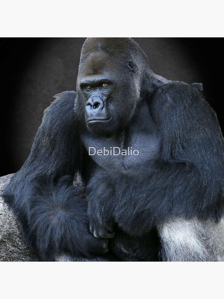 Portrait of a Male Gorilla Throw Pillow for Sale by DebiDalio