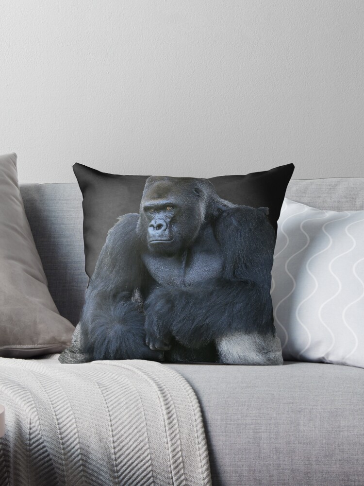 https://ih1.redbubble.net/image.2681840922.9443/throwpillow,small,750x1000-bg,f8f8f8.jpg