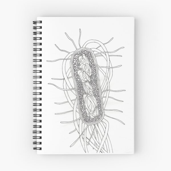 Item preview, E. Coli designed and sold by jubajade.