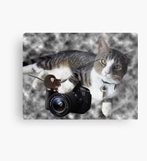 (CAT) "SAY CHEESE" (MOUSE)"DID SOMEONE SAY CHEESE?" CAT & MOUSE PHOTOGRAPHER - PICTURE & CARD Metal Print