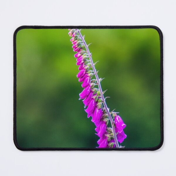 Item preview, Foxglove designed and sold by LluniauDafyddEm.