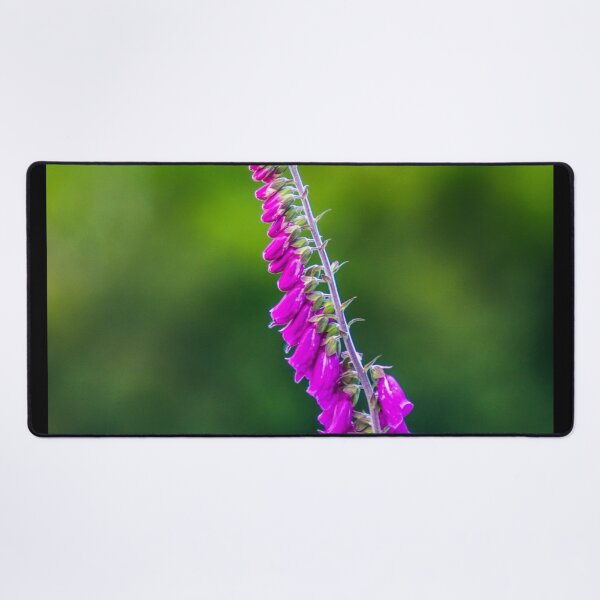 Item preview, Foxglove designed and sold by LluniauDafyddEm.