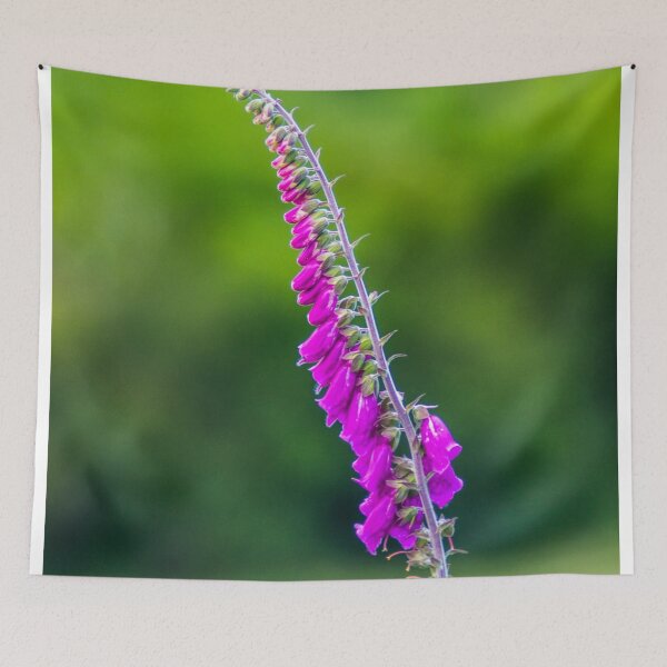 Item preview, Foxglove designed and sold by LluniauDafyddEm.