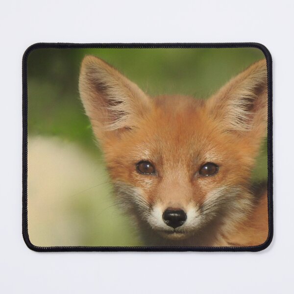 Item preview, Red Fox Portrait designed and sold by KathyGail.