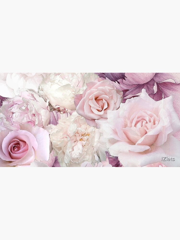 Big Soft Pink Roses Summertime Botanical Garden Flowers by IZiets