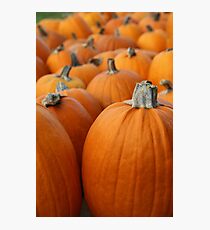 Pumpkin 3 Photographic Print