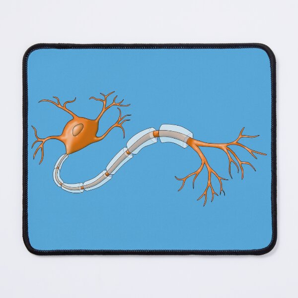 Item preview, Orange Neuron Nerve Cell with Myelin Sheath designed and sold by ScienceSource.
