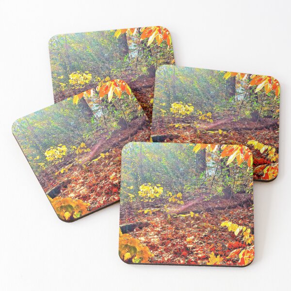 Item preview, Sun Rays in the Woods designed and sold by Herz40.