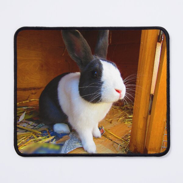 Item preview, Rabbit Ollie designed and sold by BarrowmanAngel.