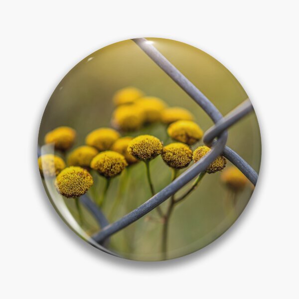Item preview, Luminous designed and sold by EmelinaPhoto.