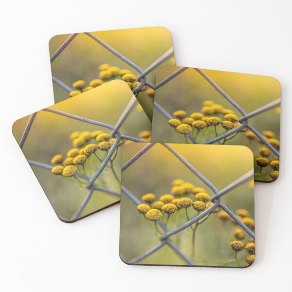 Item preview, Luminous designed and sold by EmelinaPhoto.