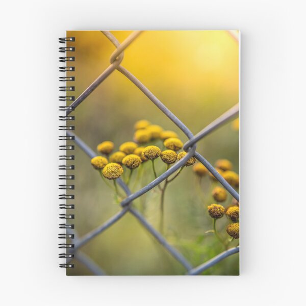 Item preview, Luminous designed and sold by EmelinaPhoto.