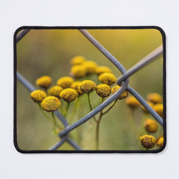 Item preview, Luminous designed and sold by EmelinaPhoto.