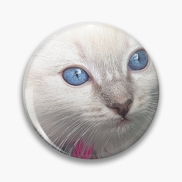 Item preview, Ragdoll kitten designed and sold by Fluffycat2020.
