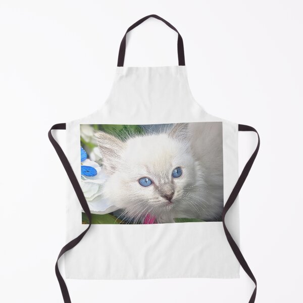 Item preview, Ragdoll kitten designed and sold by Fluffycat2020.
