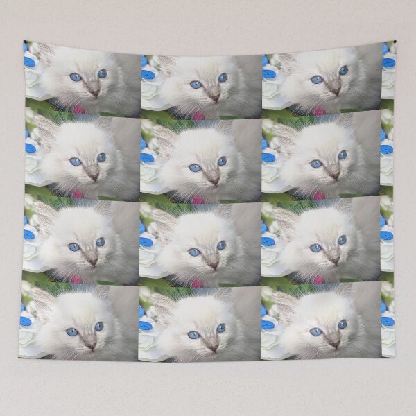Item preview, Ragdoll kitten designed and sold by Fluffycat2020.