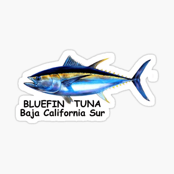 Tuna Merch & Gifts for Sale