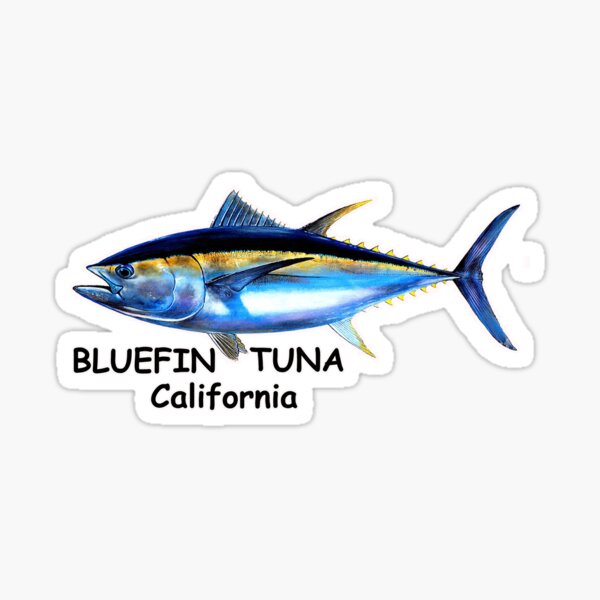 Bluefin Tuna Merch & Gifts for Sale