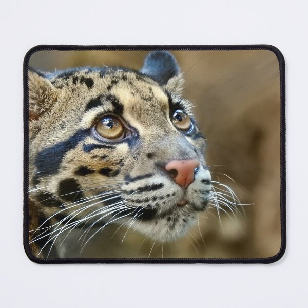 Item preview, Clouded Leopard designed and sold by andrew82984.
