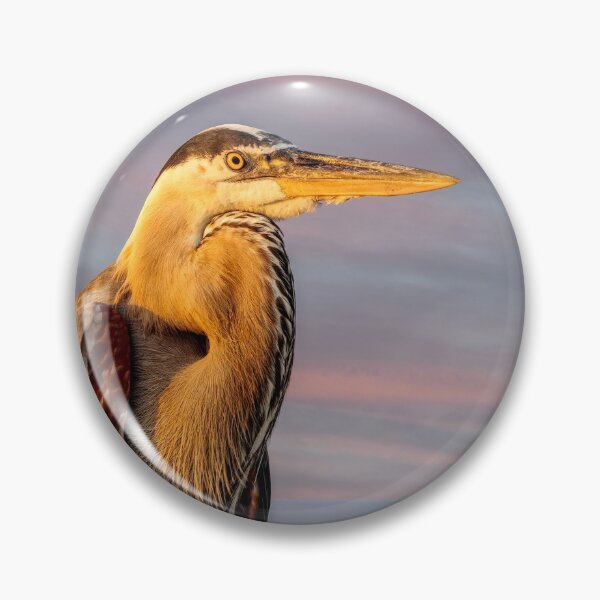 Item preview, Great Blue Heron In Golden Light designed and sold by mljdwhite.
