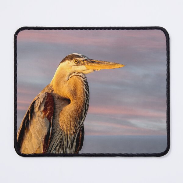Item preview, Great Blue Heron In Golden Light designed and sold by mljdwhite.