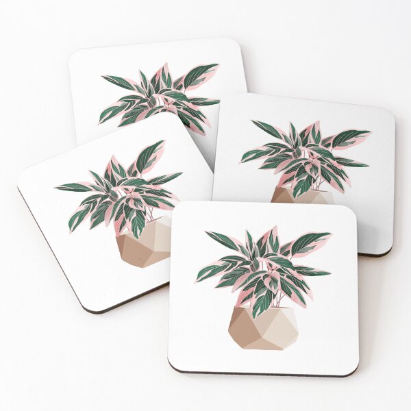 Item preview,  Calathea Stromanthe Triostar designed and sold by Ana Moguš.