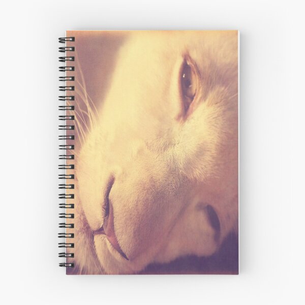 Item preview, Lion at rest - dePace' designed and sold by mrpropcake.