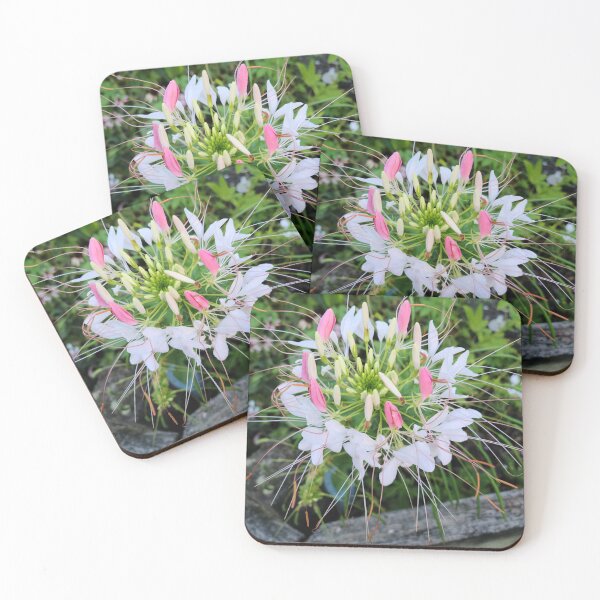 Item preview, In bloom designed and sold by zchriswit.