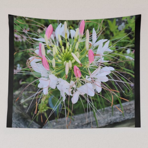 Item preview, In bloom designed and sold by zchriswit.