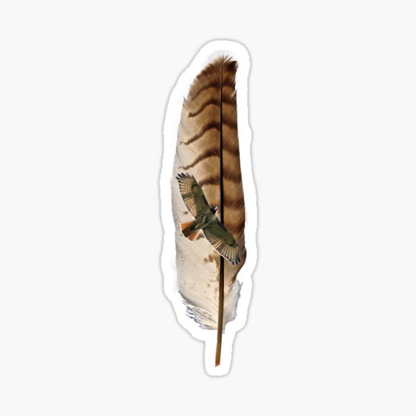 Feather Stickers for Sale  Redbubble