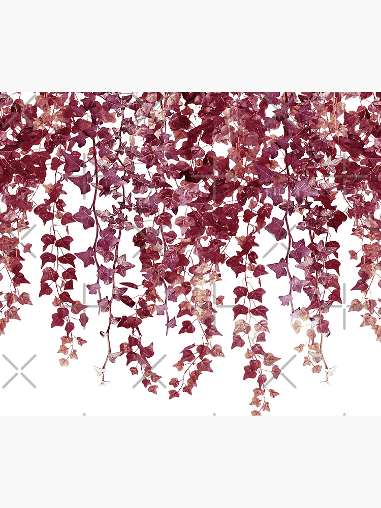 Ivy Hanging Vines  Shower Curtain for Sale by GlowinUp Shop