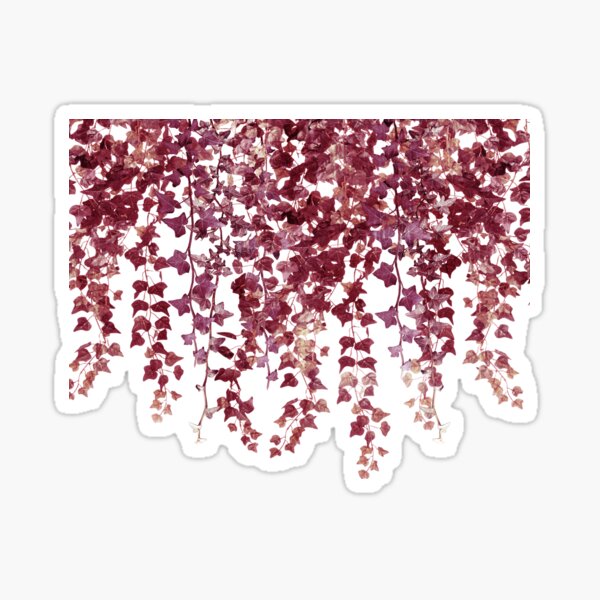 Vista previa del artículo con la obra «Ivy Hanging Vines burdeos», diseñado y vendido por GlowinUp Shop.