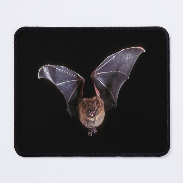 Item preview, Bat designed and sold by TheOnionPatch.