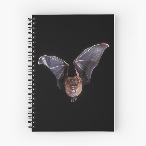 Item preview, Bat designed and sold by TheOnionPatch.