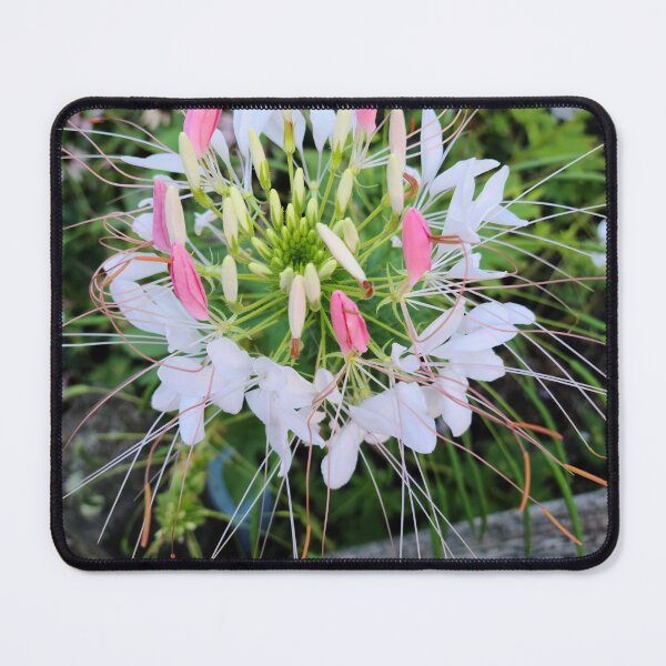 Item preview, In bloom designed and sold by zchriswit.