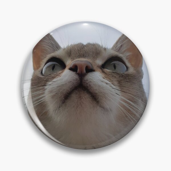 Item preview, Giant Speedball  designed and sold by Cat-yawns.