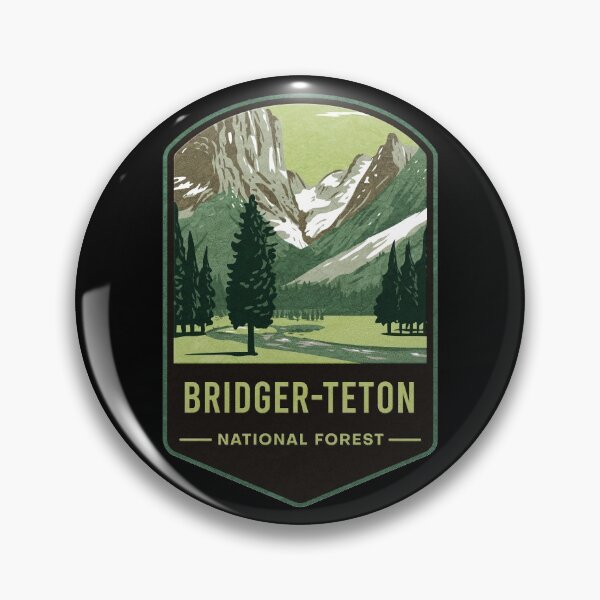 Artikelvorschau, Bridger-Teton National Forest entworfen und verkauft von JordanHolmes.