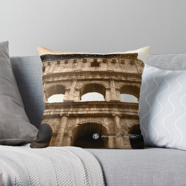 Arena Throw Pillow