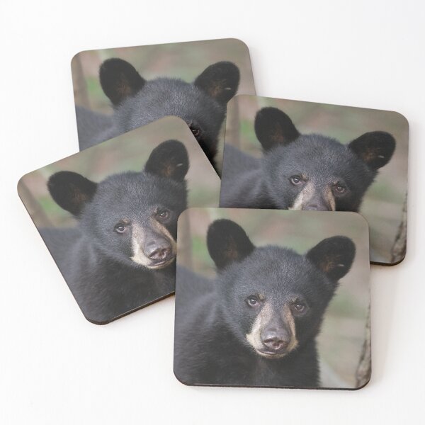Item preview, Black Bear Cub designed and sold by mlorenz.