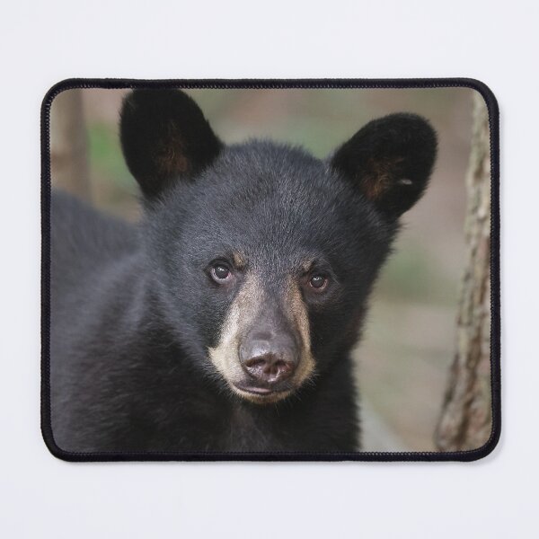 Item preview, Black Bear Cub designed and sold by mlorenz.