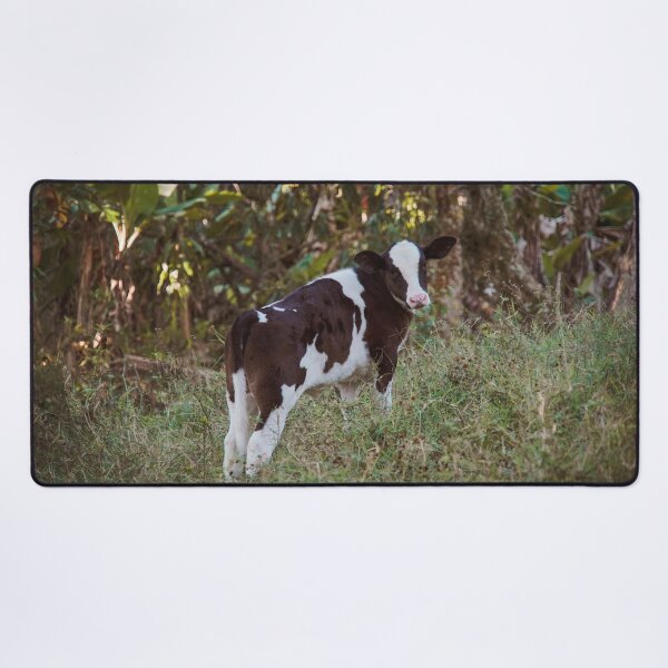 Vista previa del artículo con la obra «Vaca bebé», diseñado y vendido por anafrancisconi.