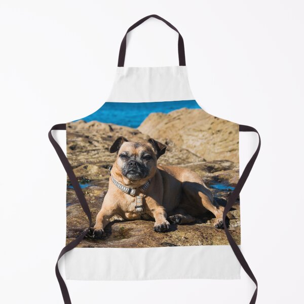 Item preview, Pug cross jack russell dog sitting on rocks at umina beach on nsw central coast designed and sold by Geoff Wols.