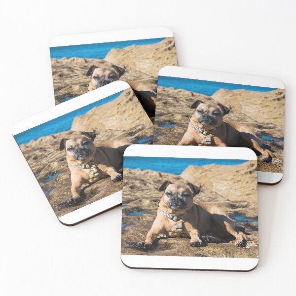 Item preview, Pug cross jack russell dog sitting on rocks at umina beach on nsw central coast designed and sold by Geoff Wols.