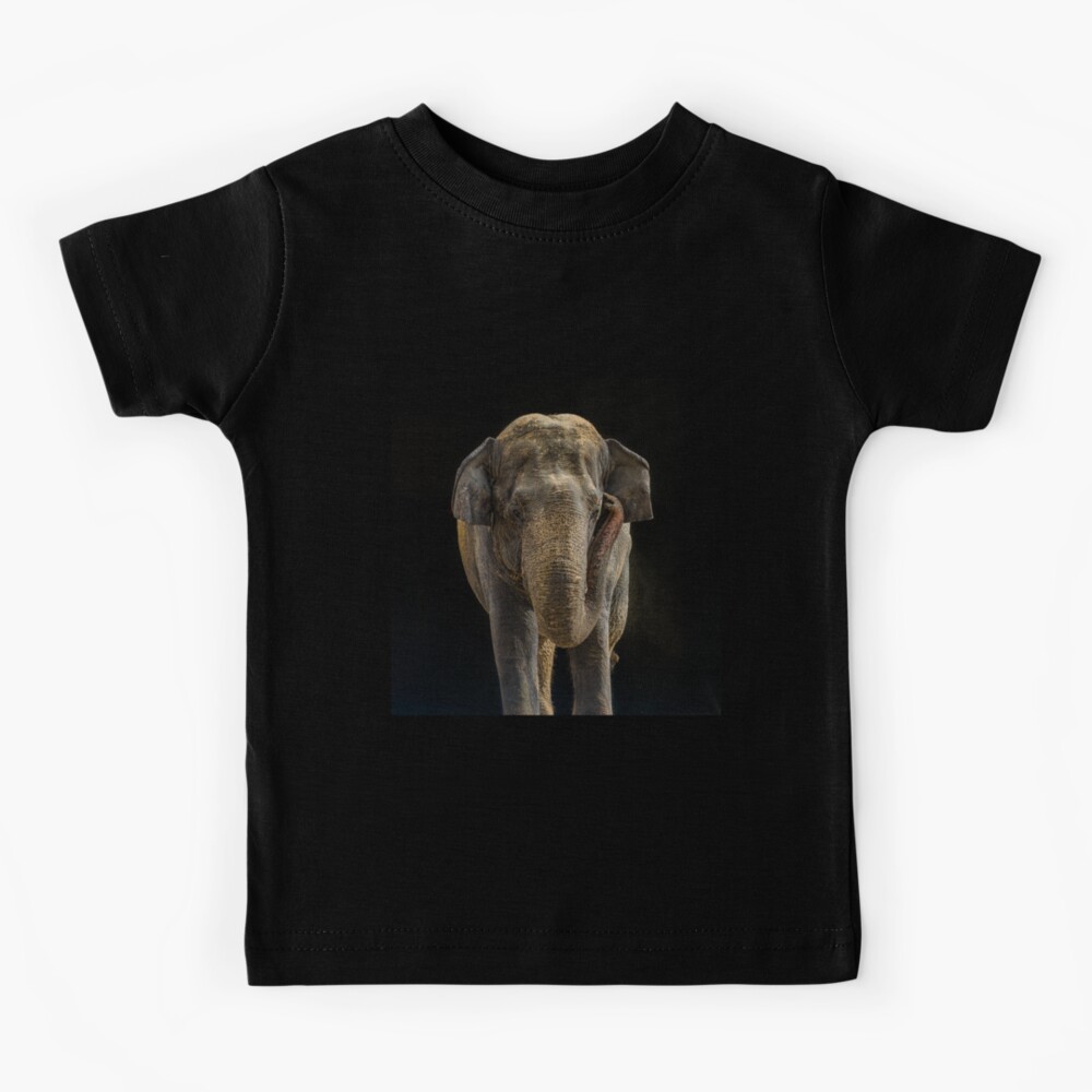 Cute Adorable Kawaii Baby Elephant