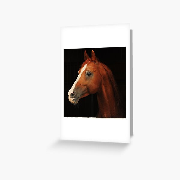 Décoration Pour Gâteau D'Anniversaire 41 Ans Pour Homme, Femme, Noir, Doré, Pour Gâteau, 41 Ans