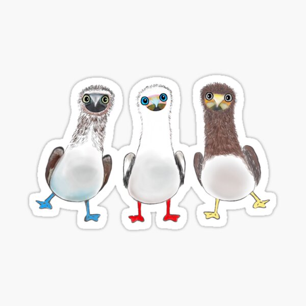 Item preview, 3 Cute Booby Birds designed and sold by alongtimeago.