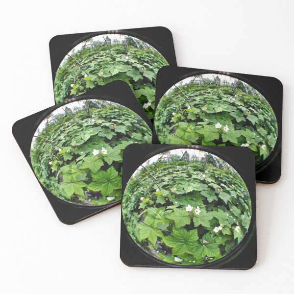 Item preview, Green Foliage In A Fisheye Lens designed and sold by MissJades.